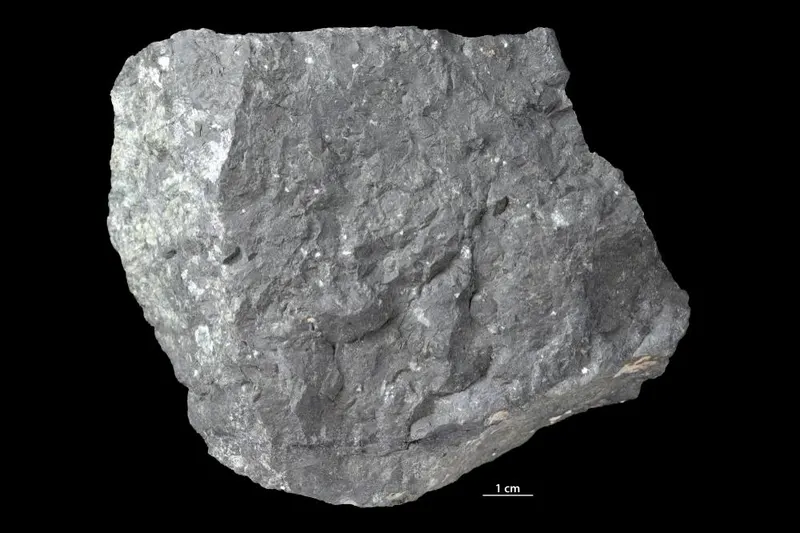 Bronzite