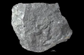Bronzite