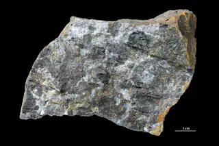 Bronzite
