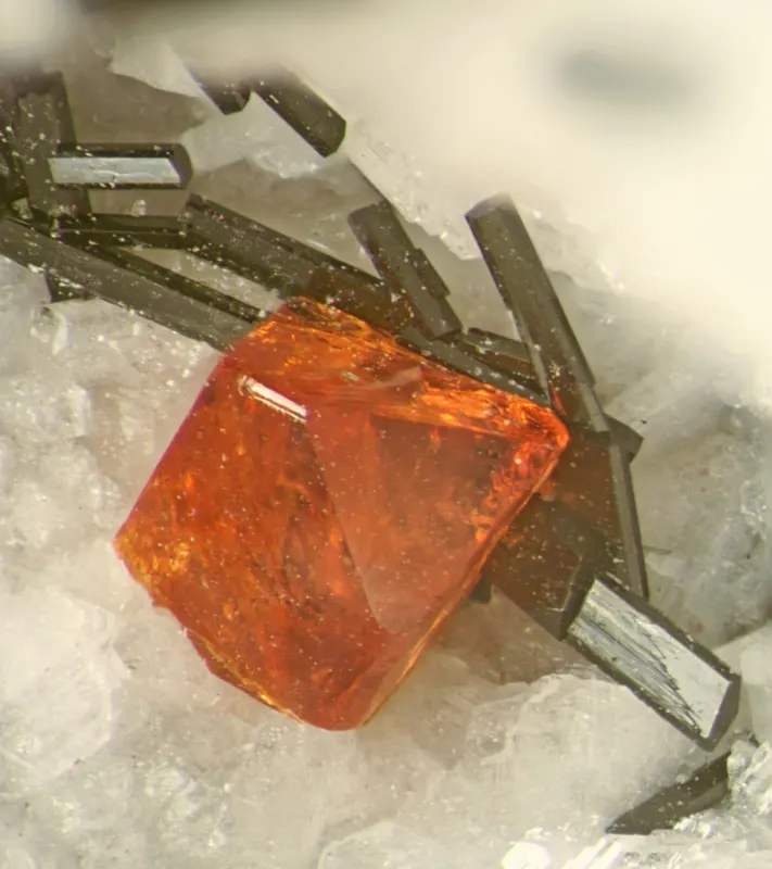 Ferrokentbrooksite, Amphibole Supergroup-166795.jpg