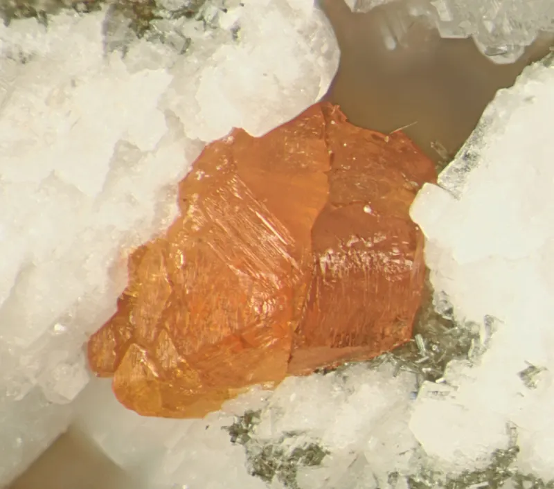Manganokhomyakovite, Ferrokentbrooksite-279269.jpg
