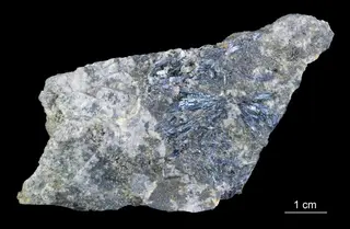 Muscovite
