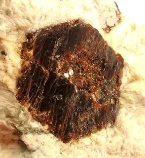 Ferronigerite-2N1S-273156.jpg