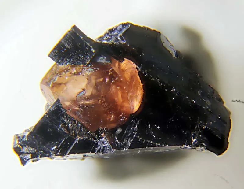 Ferrorhodonite.jpg