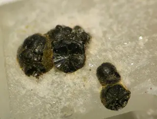 Ferrosaponite-105031.jpg