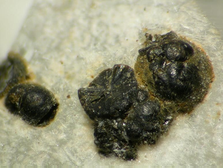 Ferrosaponite