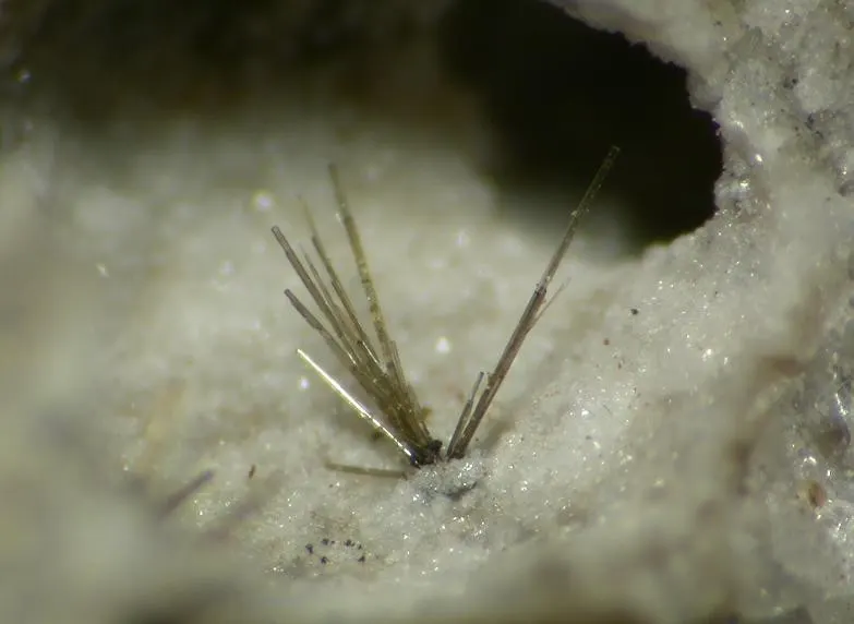 Ferrosilite-111338.jpg