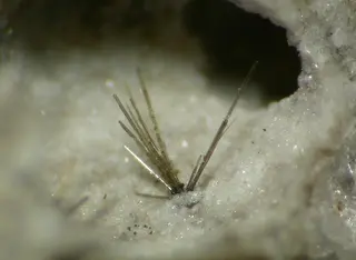 Ferrosilite-111338.jpg