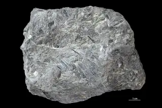 Hornblende