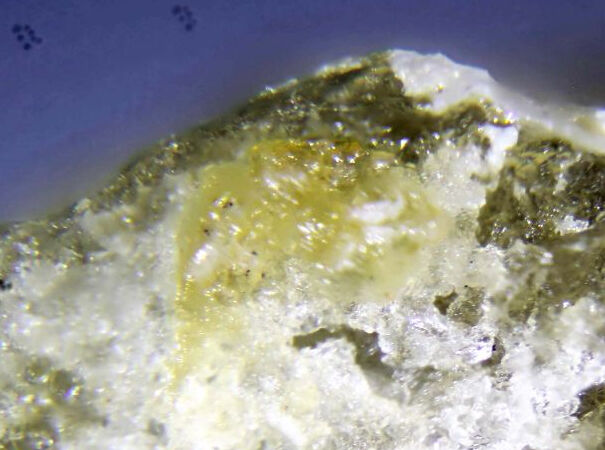 Ferrotychite