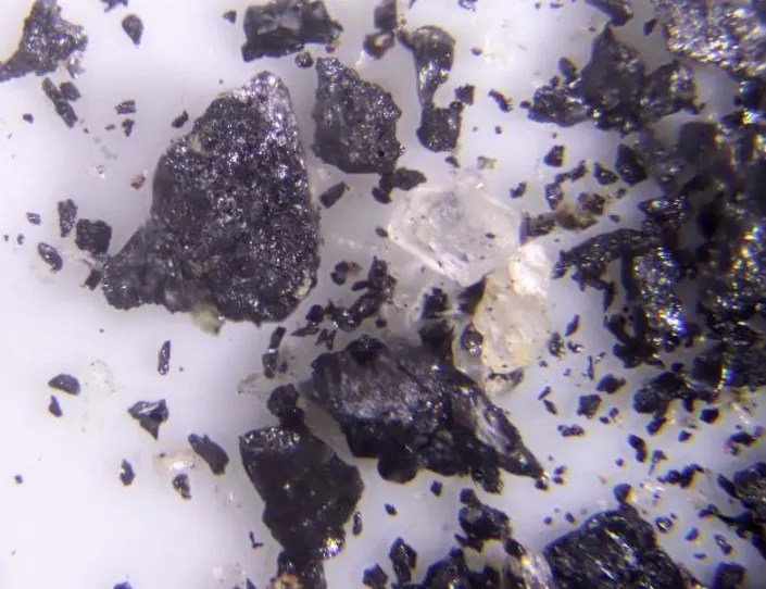 Ferrowodginite.jpg
