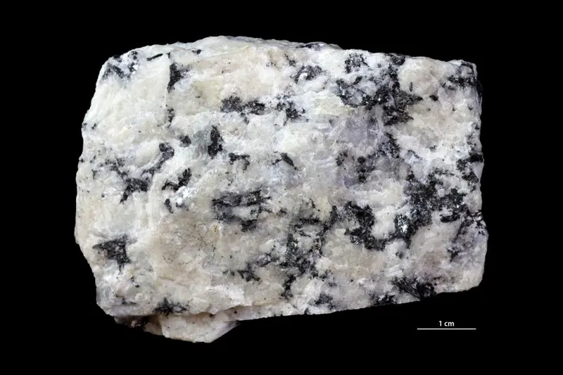 Lepidomelane