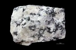 Lepidomelane
