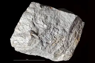 Minerals