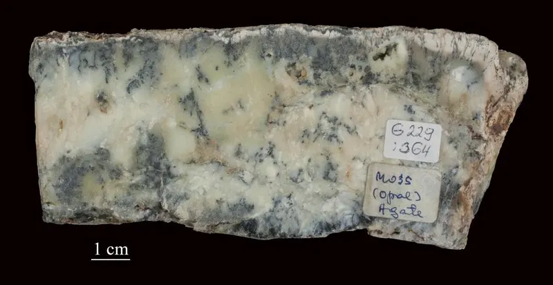 Minerals