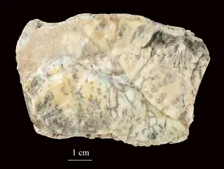 Minerals