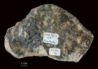 Minerals