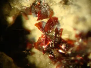 Fettelite - Chanarcillo, Copiapo Province, Atacama Region, Chile.jpg