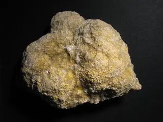 Fibroferrite - Cetine, Siena, Toscana, Italia.jpg