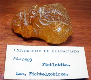 Fichtelite-802908.jpg