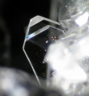Fiedlerite-112694.jpg