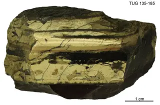 Riband Jasper