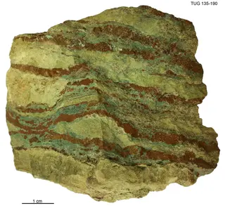 Riband Jasper