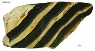 Riband Jasper