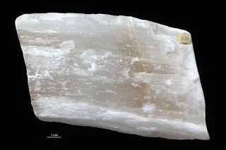 Selenite