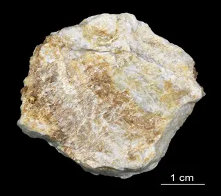 Muscovite