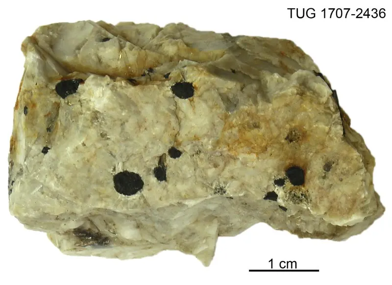 Thucholite