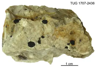 Thucholite
