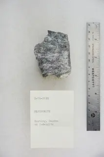 Fluoborite on Ludwigite (48002886361).jpg