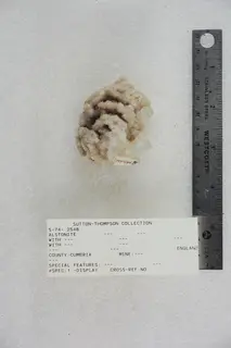 Alstonite (48002850521).jpg
