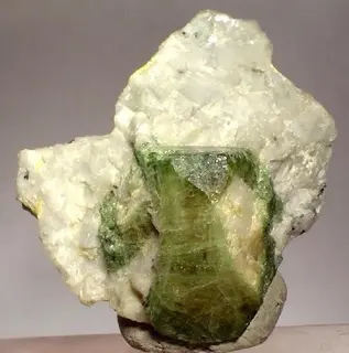 Uvite-120688.jpg