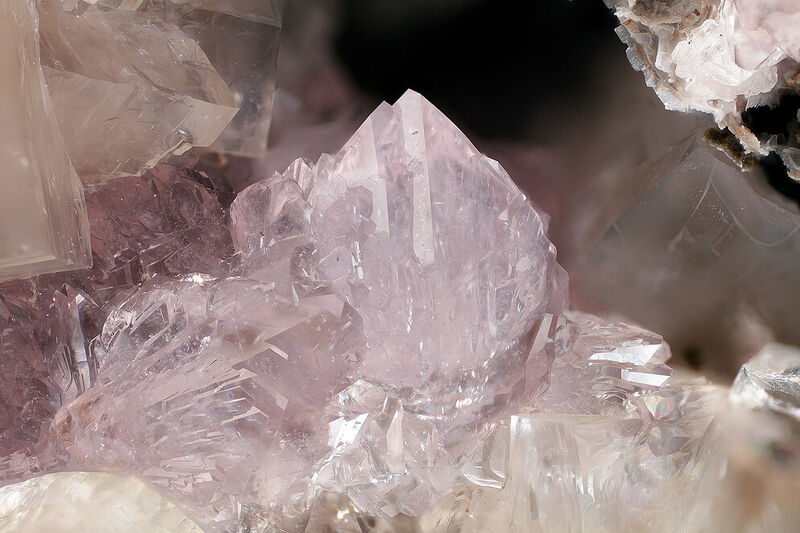 Fluorapophyllite-(NH4)