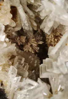 Fluorcalcioroméite-Oxyplumboroméite-Baryte 02.jpg