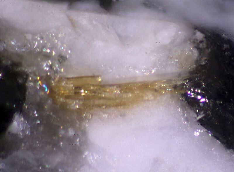 Fluorlamprophyllite