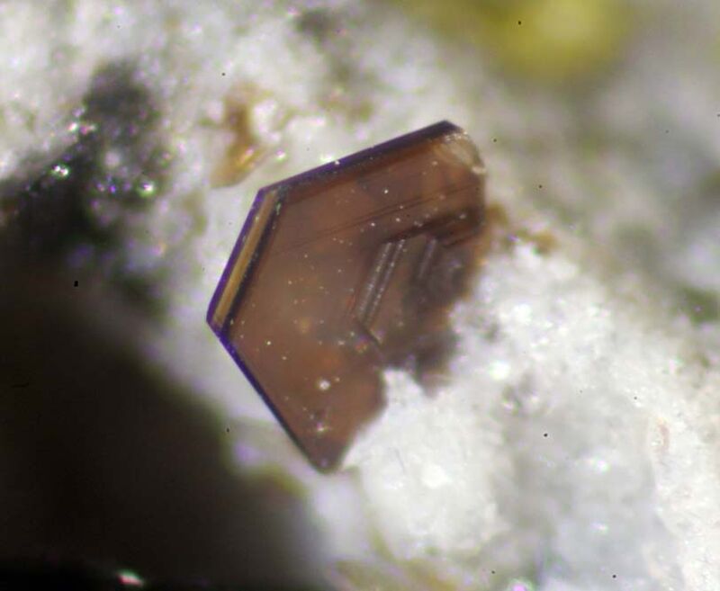 Fluorophlogopite