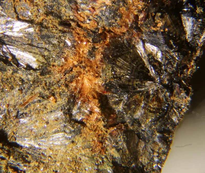 Flurlite.jpg