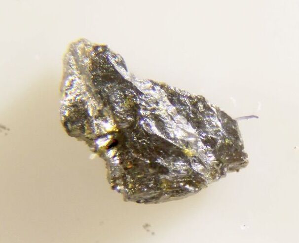 Foordite