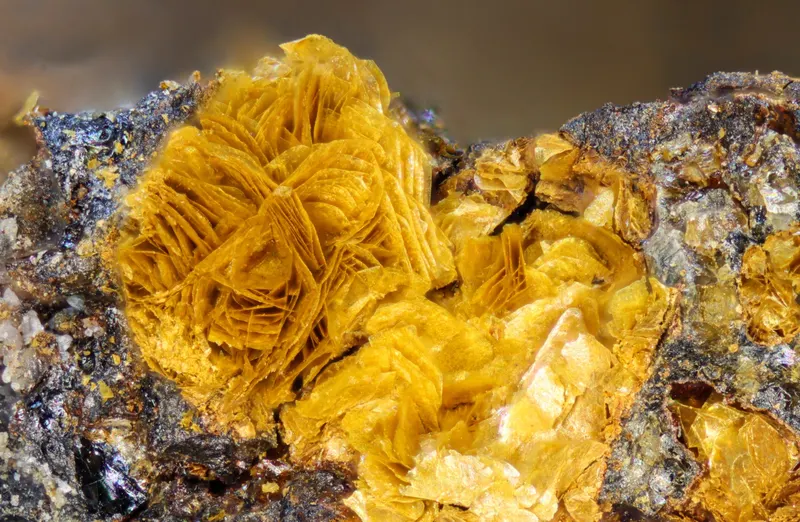 Fougerite Concordia Felix-0.jpg