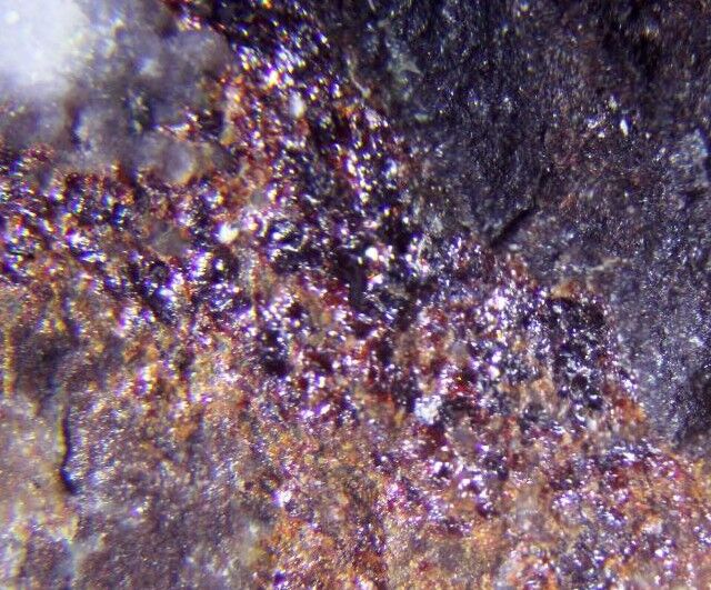 Franciscanite