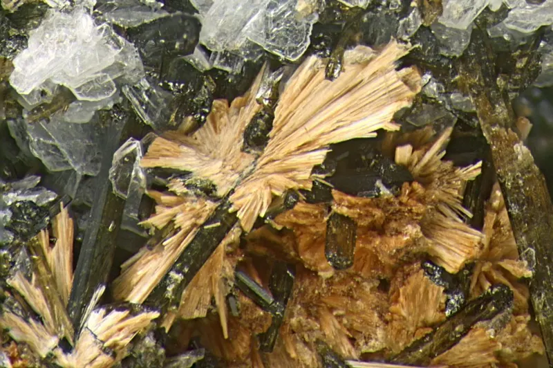Niobokupletskite-Aegirine-Albite-284379.jpg