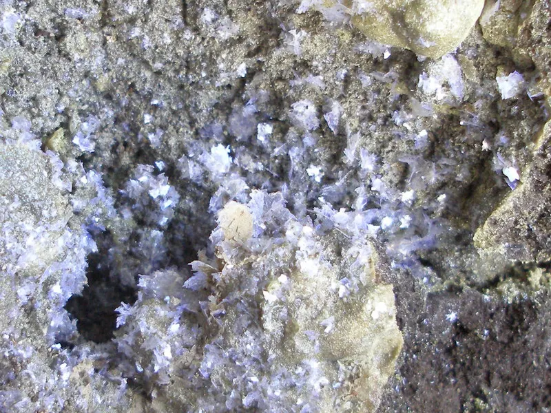 Freitalite.jpg