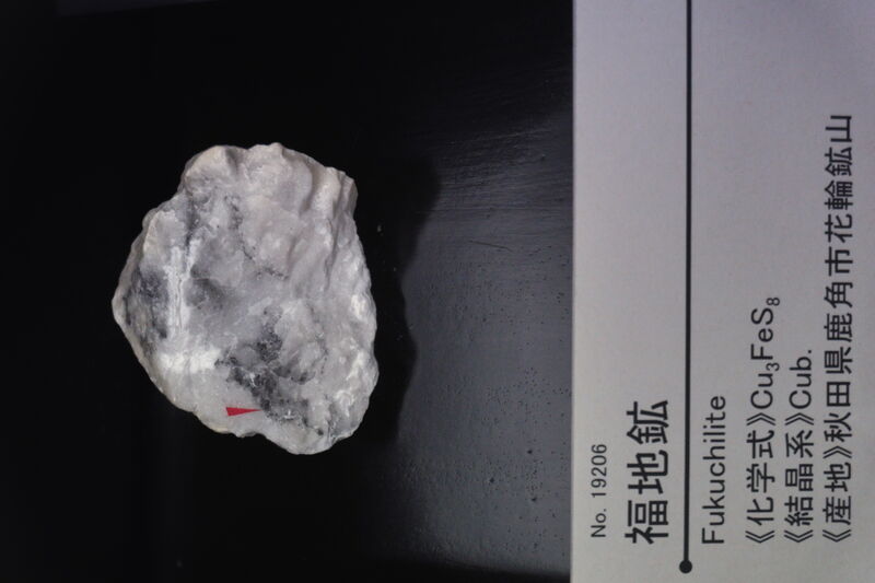 Fukuchilite