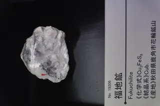 Fukuchilite displayed at Mining Museum of Akita University.jpg