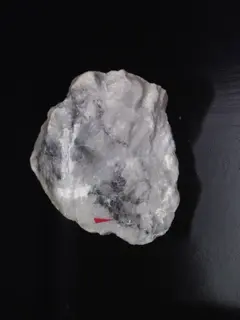Fukuchilite-cropped.jpg