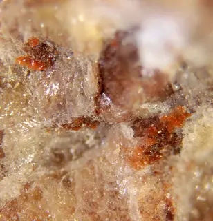 Gagarinite-(Y) & Cryolite.jpg