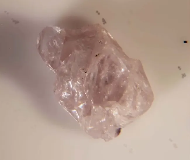 Gainesite.jpg